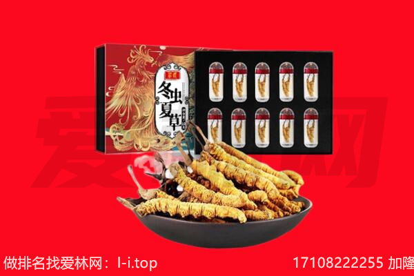 惠州市回收虫草.jpg